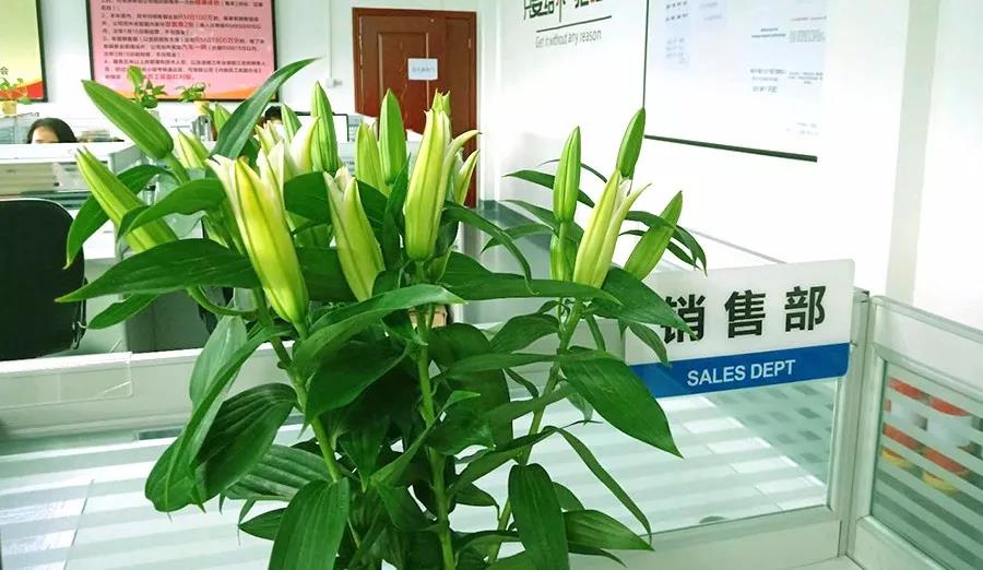 濃情七夕，最美祝福！